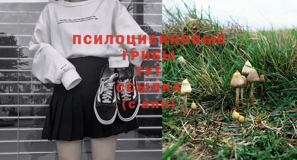 соль курить ск Алексеевка