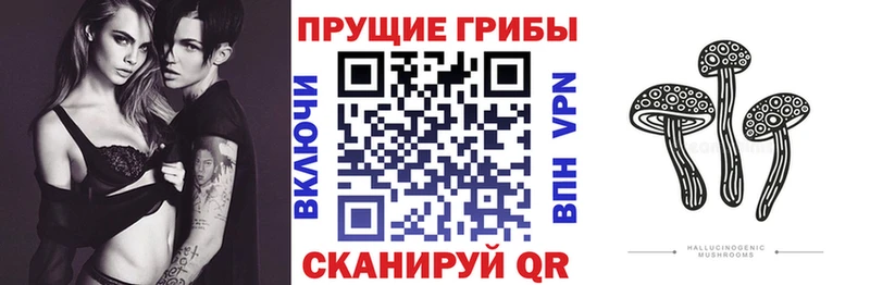 сколько стоит  Нижневартовск  Галлюциногенные грибы мицелий 